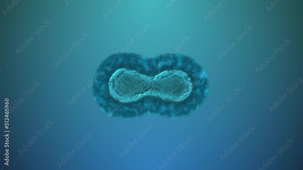 Cell division or cell cloning