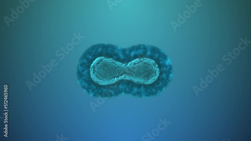 Cell division or cell cloning