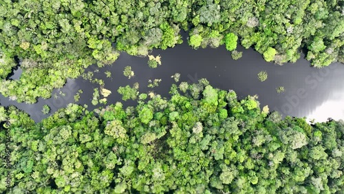 Nature aerial view of Amazon forest at Amazonas Brazil. Mangrove forest. Mangrove trees. Amazon rainforest nature landscape. Amazon igapo submerged vegetation. Floodplain forest at Amazonas Brazil. photo