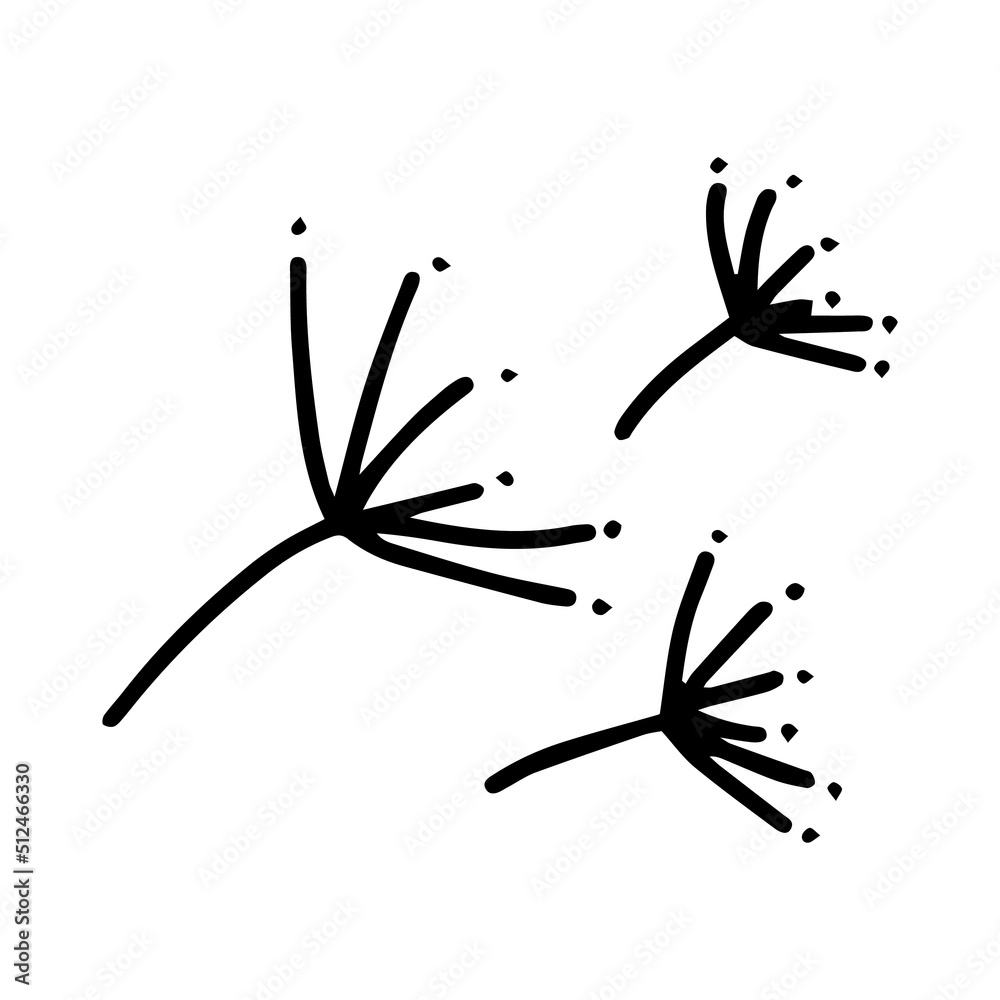 image of dandelions seeds image of dandelions seeds
