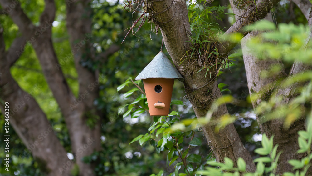 公園の中にある作られた家型の小鳥の巣