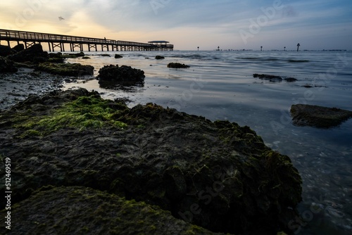 Wallpaper Mural Safety Harbor, Florida sunrise  Torontodigital.ca