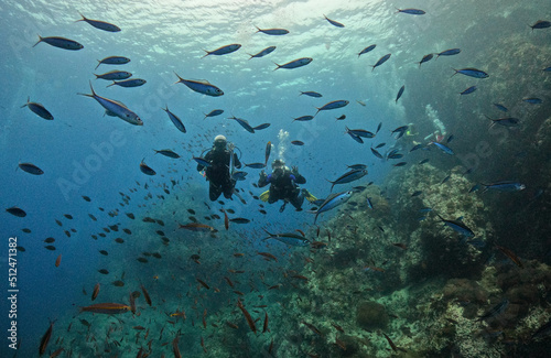 Two scuba divers close to ocean surface surrounded by blue colored tropical fish-Sail Rock Island in southern Thailand