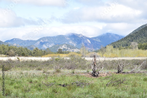 Upper Beaver Meadows, Rocky Mountain National Park, CO photo