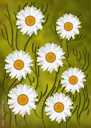 Chamomile flowers on green background illustrationKwiaty rumianku z zielem białe polne kwiaty ilustracja zielone niejednorodne rozmyte tło