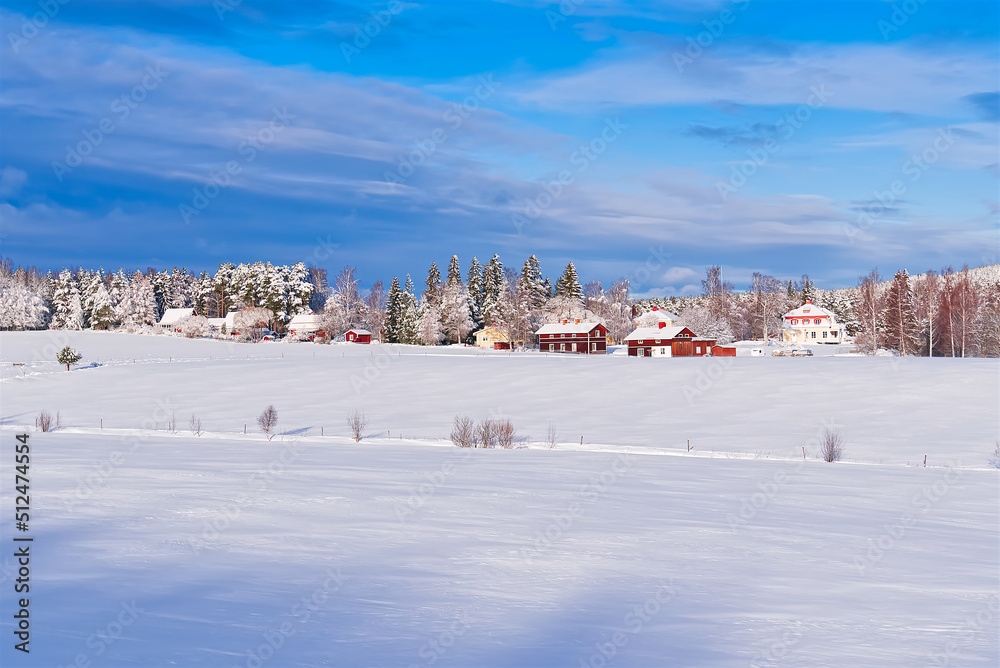 Obraz premium Nordic winter landscape. Panoramic view of the covered with frost trees in the snowdrifts. Magical winter forest. Natural landscape with beautiful sky.