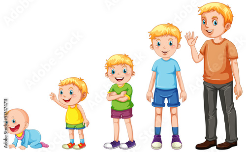 Stages of human growth
