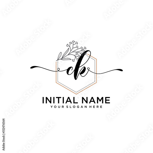 Initial letter CK beauty handwriting logo vector
