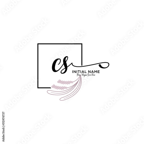 Initial letter CS beauty handwriting logo vector