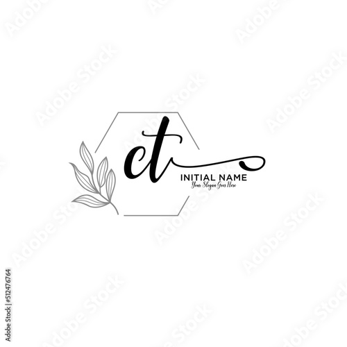 Initial letter CT beauty handwriting logo vector