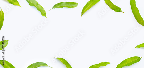 Frame made of mango leaves on white background.