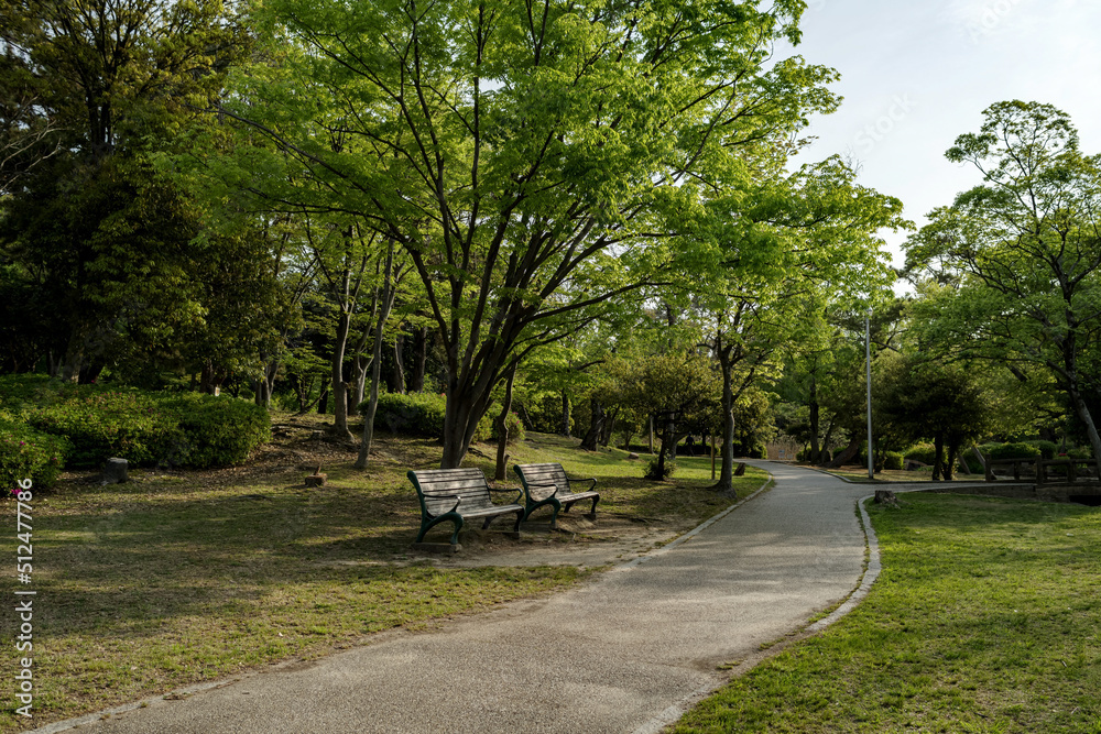公園の散策路とベンチのある朝の風景