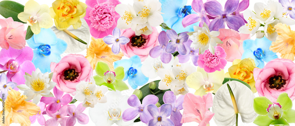 Many beautiful flowers as background. Pattern for design