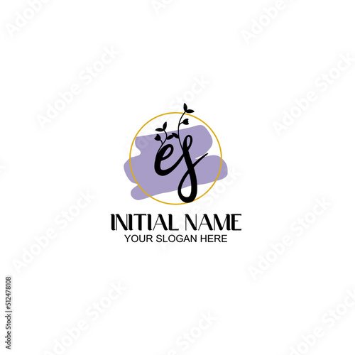 Initial letter ES beauty handwriting logo vector