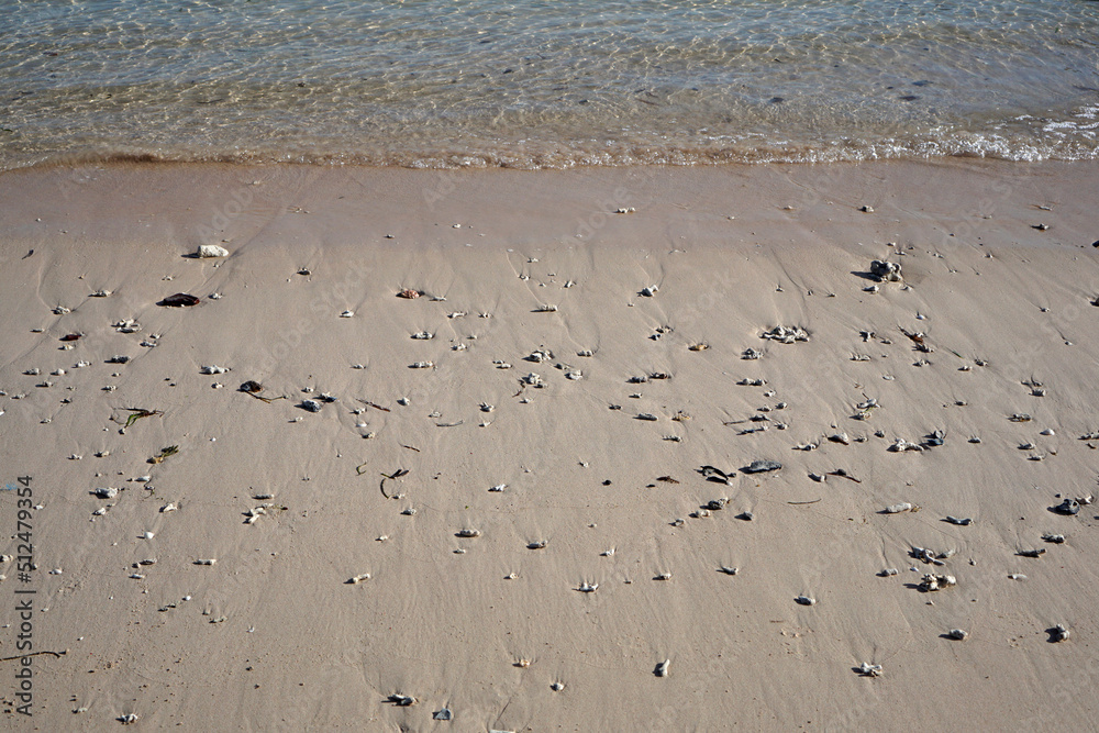 The pink sand at Pink Beach is due to the pink coral fragments. Pink Beach, Lombok, Indonesia, The pink sand at Pink Beach is due to the pink coral fragments. Pink Beach, Lombok, Indonesia,
