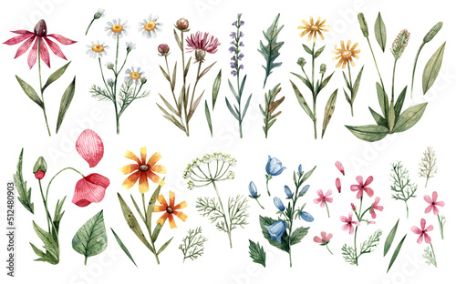Fotografie Large watercolor set of wildflowers hand-drawn isolated on a white background