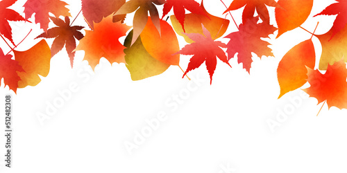 紅葉　もみじ　秋　背景
