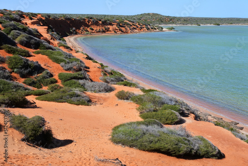 Landscape view of Francois peron national park peninsula Western Australia photo