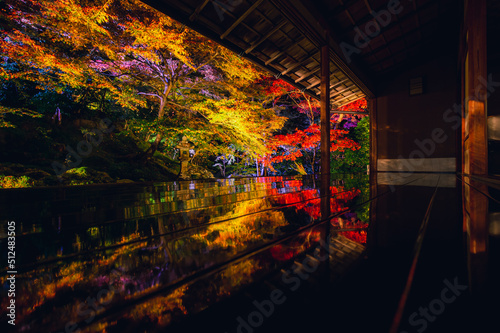 京都 瑠璃光院の夜紅葉 -Red leaves in Kyoto-