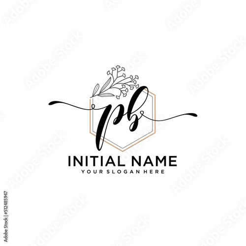 Initial letter PB beauty handwriting logo vector