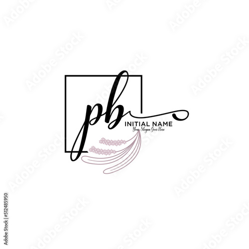 Initial letter PB beauty handwriting logo vector