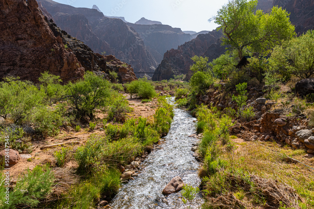 Bright Angel Creek Flowing Into The Colorado River Near Phantom Ranch, Grand Canyon National Park, Arizona, USA