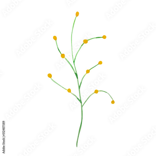 Watercolor branch with yellow berries