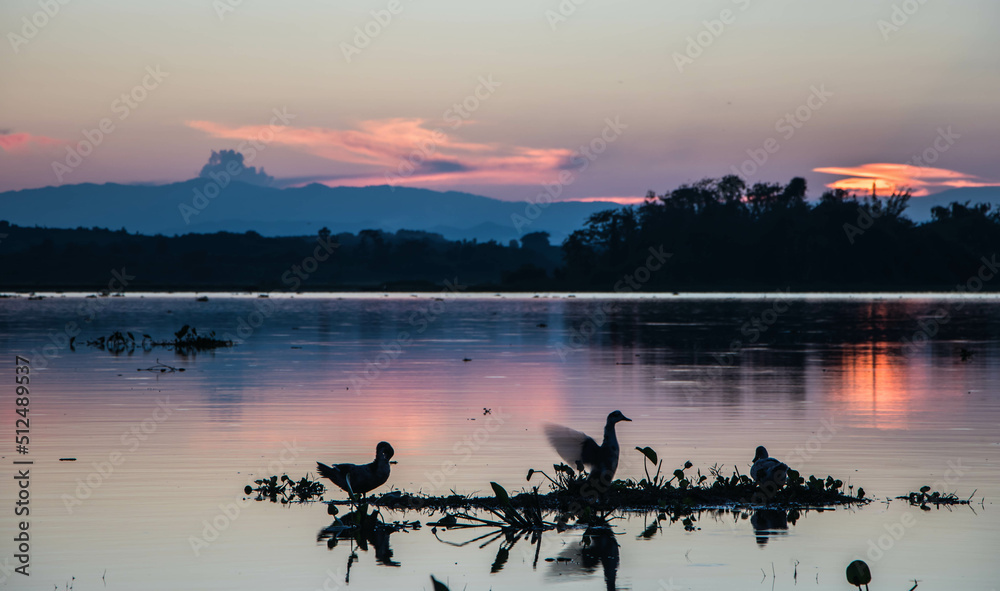 Naklejka premium the lake in sunset time