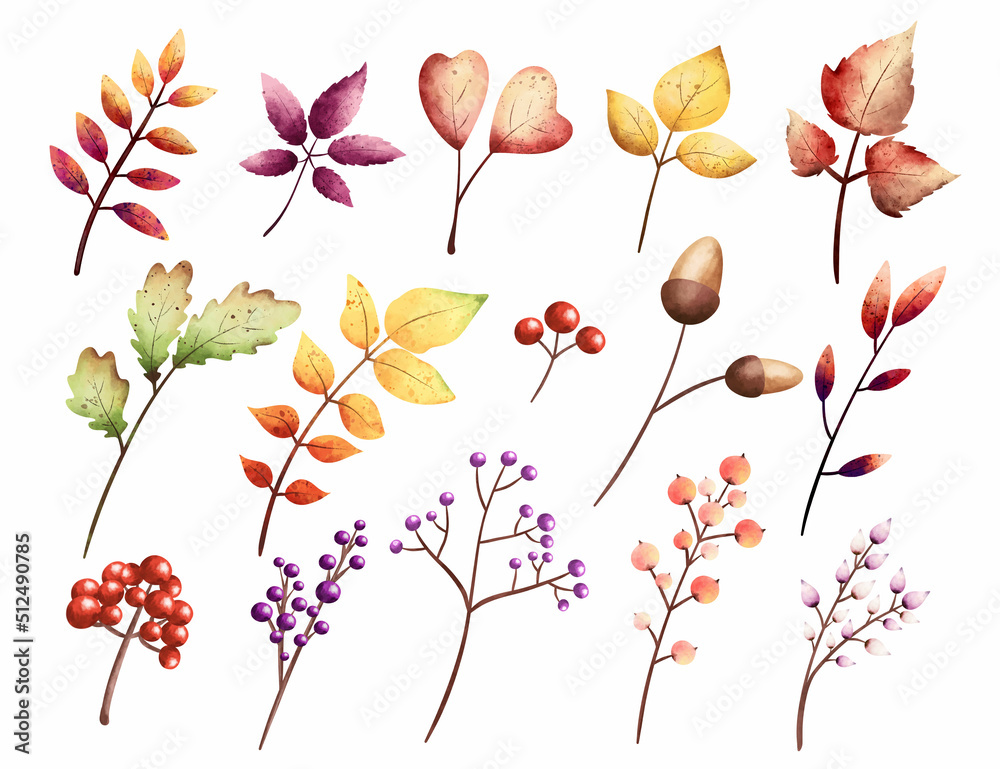 Watercolor Set of autumn Leaves 