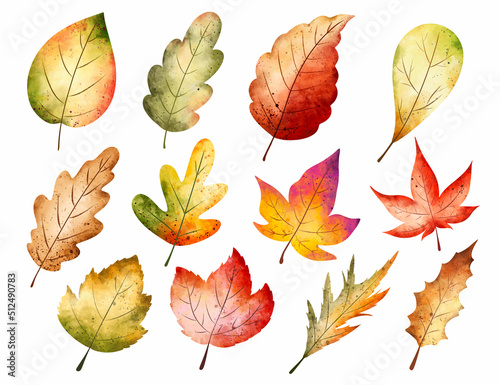 Watercolor Set of autumn Leaves 