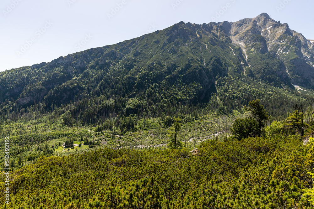 photos taken while trekking in the mountains