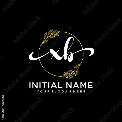 XB Initial handwriting logo vector. Hand lettering for designs.