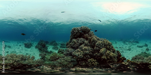 Underwater fish reef marine. Tropical colourful underwater seascape. Philippines. Virtual Reality 360. © Alex Traveler