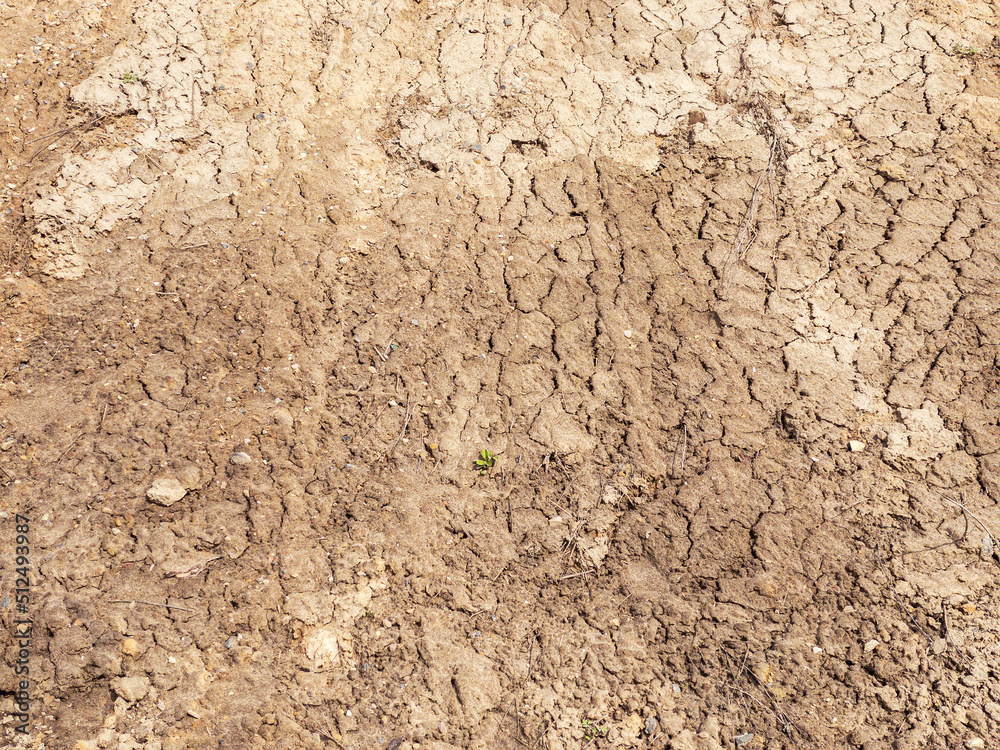 background image of dried and cracked soil. ground pattern with cracks.