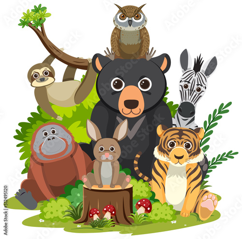 Wild animal group on white background