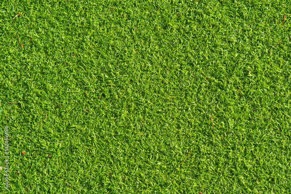 Obraz premium green grass texture background