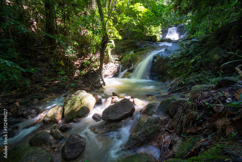 waterfall in the forest