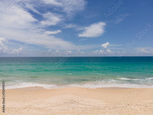 beach with palm