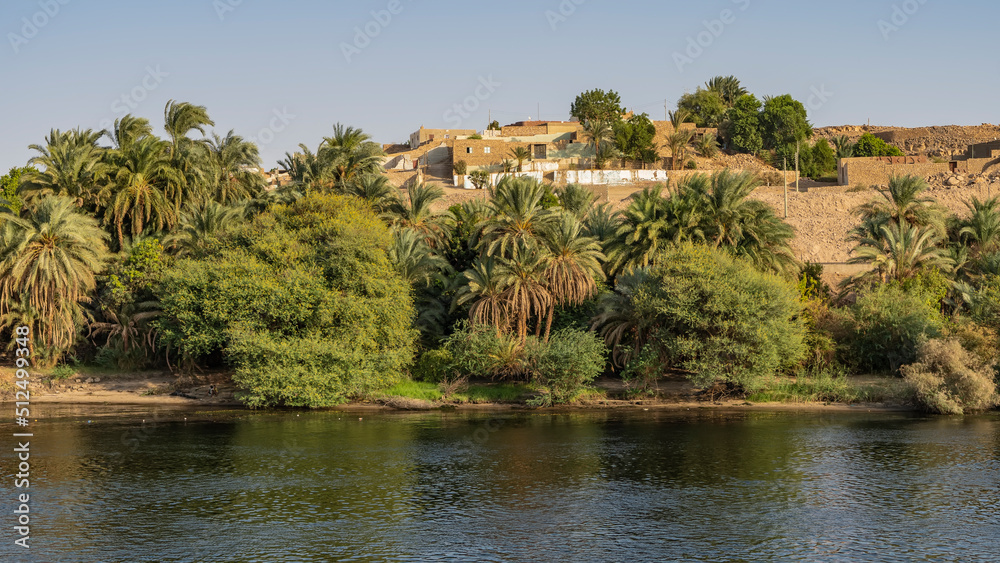 On the bank of the river there are thickets of green vegetation, palm trees. A village house is visible on a sandy hill. Reflection on calm water. Egypt. Nile