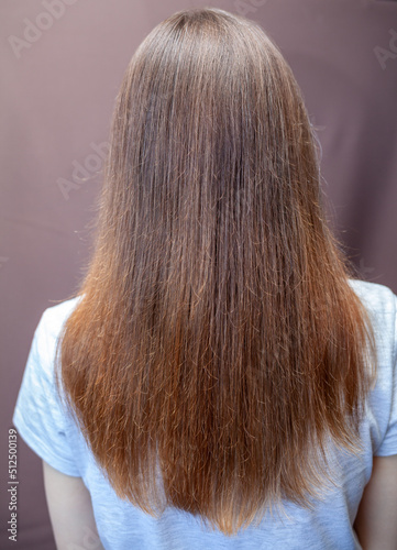 A girl with long, straight and beautiful brown hair. Hair care at home. Hair regrowth after hair coloring with henna. Back view