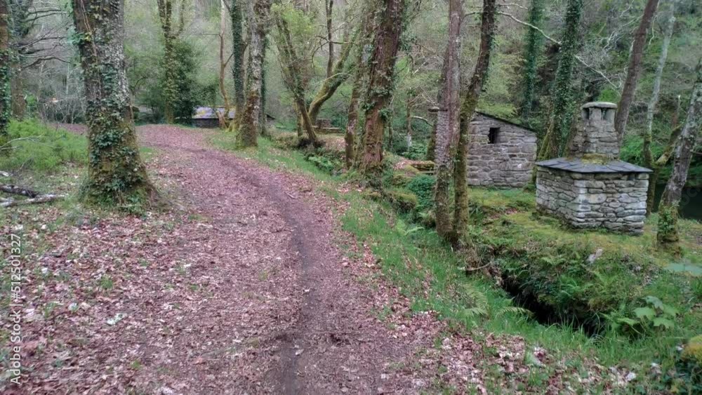 Grassy walk under an oak grove with the mountain huts on the hiking trail by the Sor River in spring on a bright day. Shot traveling forward. Ponte Cubelas, Lugo, Galicia, Spain