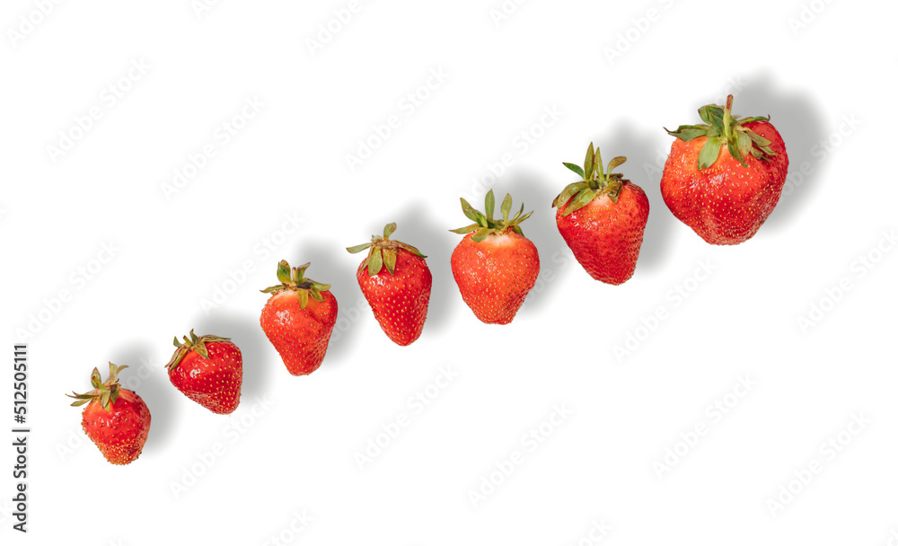 Raw strawberries in a diagonal row on white background