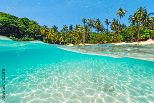 Obraz na płótnie Tropical Island Palm and underwater, Snorkeling in the sea