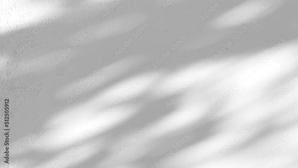 Closeup branch tree leaves silhouette shadow motion on wall, abstract background