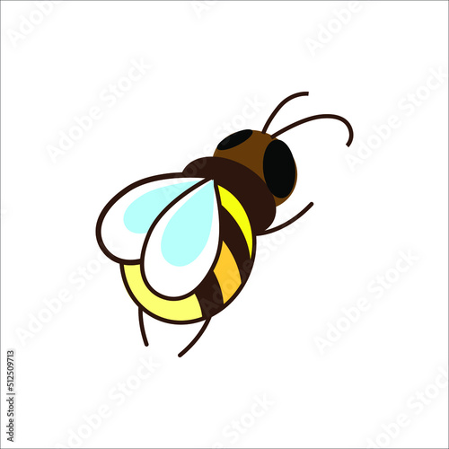 Honey bee on white background