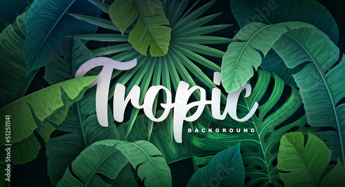 Tropic wild forest background with different tropic leaves. Vector illustration. Summer background