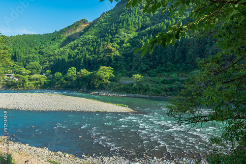 清流球磨川の緑色