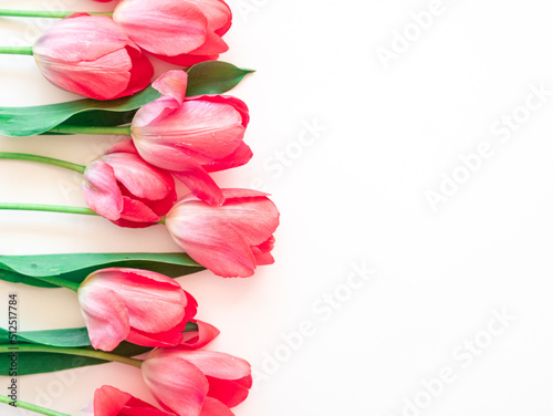 Fototapeta Naklejka Na Ścianę i Meble -  Light pink tulips on white with space for text. The concept of the spring holiday on March 8