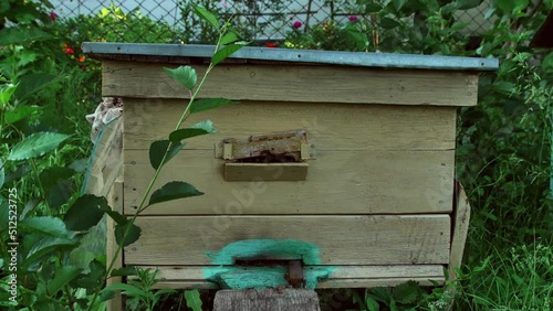 Old beehive with bees in the summer garden