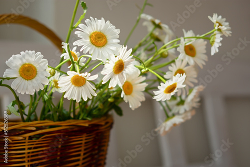 White daisies close-up in a basket. Warm sunlight soft focus, macro-yellow stamens. The concept of tenderness, purity and innocence. Fragile romantic flowers. Healing wildflowers for natural cosmetics